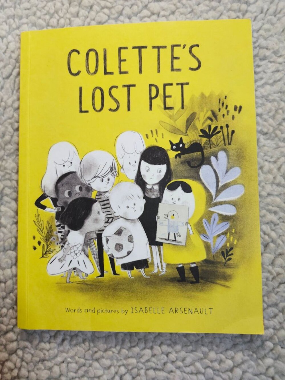 Colette's Lost Pet Isabelle Arsenault Tundra Kids Picture Book Paperback 2017